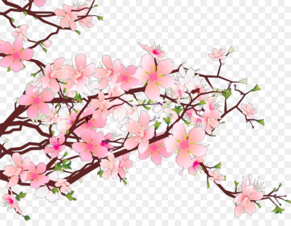 Черри блоссом арт