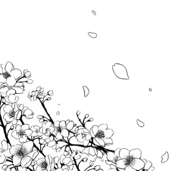 Цветы Сакуры Манга