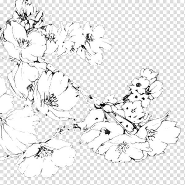 Аниме чб цветы