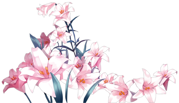 Аниме лилии