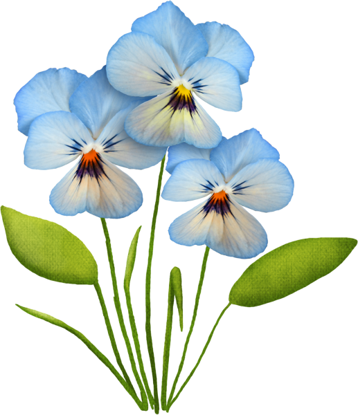 Цветок отрисовка