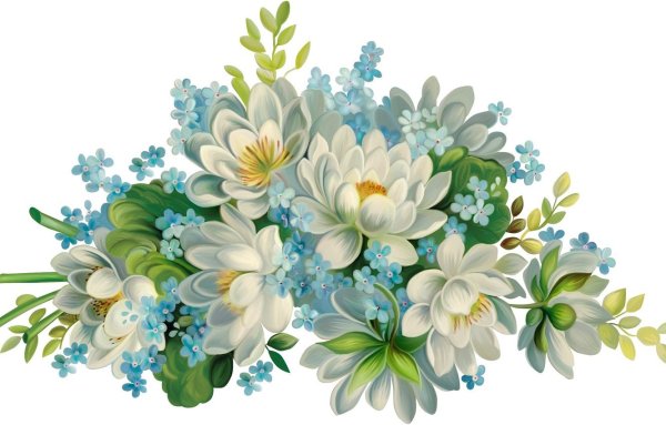 Цветы без фона