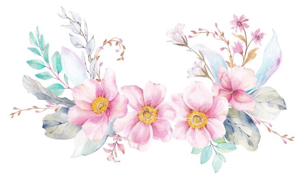 Акварельные цветы на прозрачном фоне