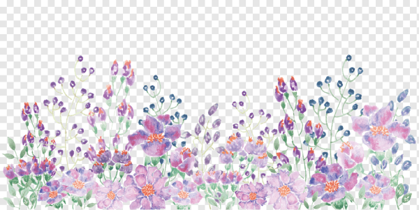 Акварельные цветы на прозрачном фоне