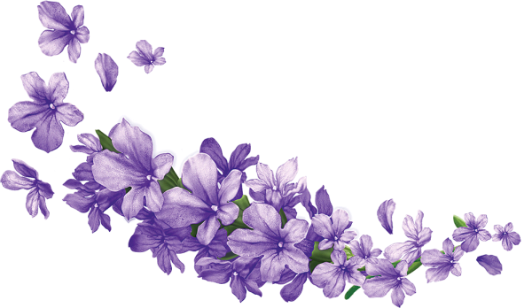 Фиолетовые векторные цветы