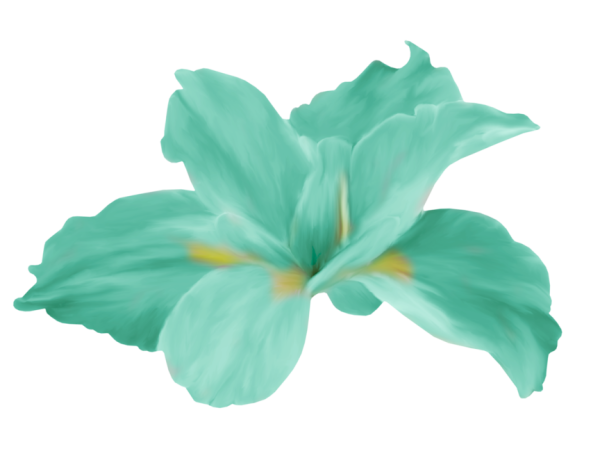 Бирюзовые цветы на белом фоне