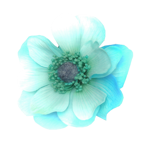 Бирюзовые цветы на прозрачном фоне