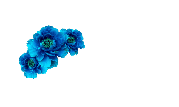Цветочки бирюзовые для фотошопа