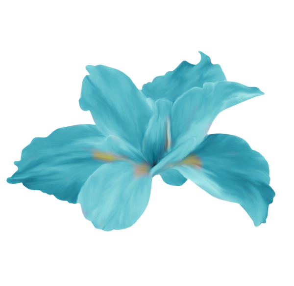 Бирюза на белом фоне