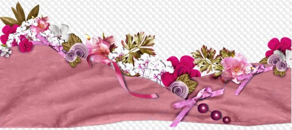 Цветочные бордюры на прозрачном фоне
