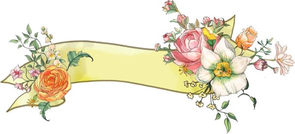 Цветочные бордюры на прозрачном фоне