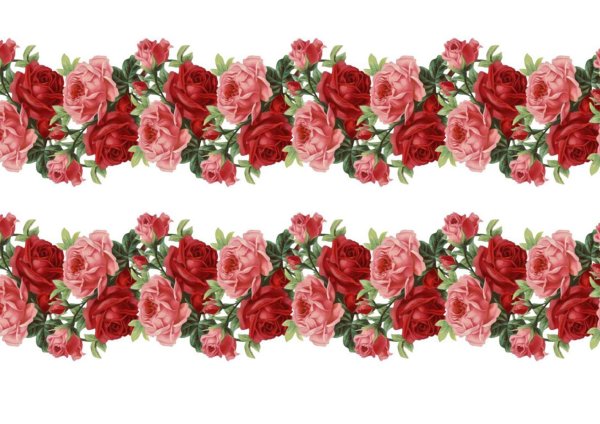 Бордюр цветы