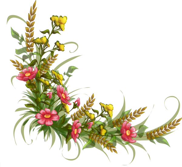 Цветочные бордюры на прозрачном фоне
