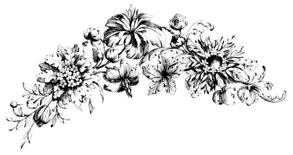 Орнамент цветы чб