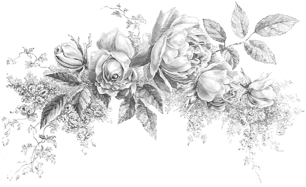 Цветочный фон карандашом