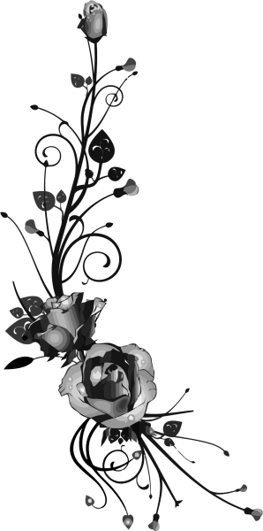 Узоры цветы на прозрачном фоне