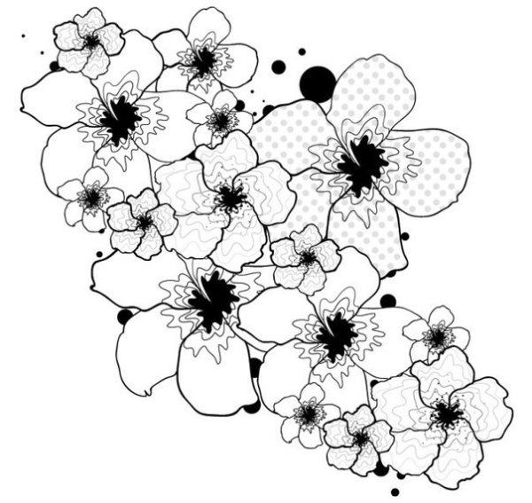 Цветочки черно белые на прозрачном фоне