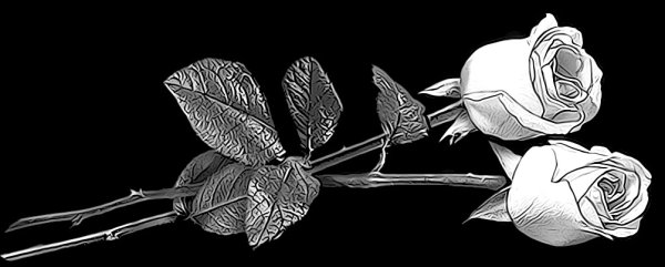 Розы на граните гравировка