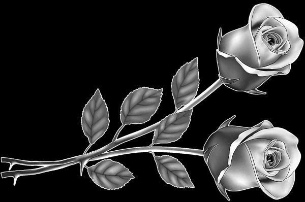 Розы для гравировки на памятниках