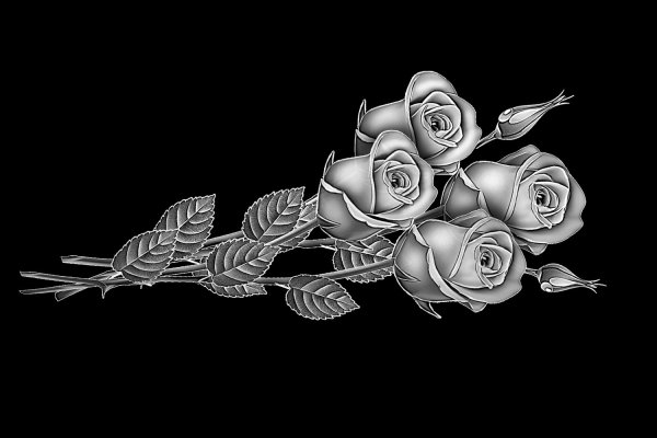 Розы для гравировки на памятниках