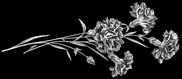 Гвоздики для гравировки на Камне