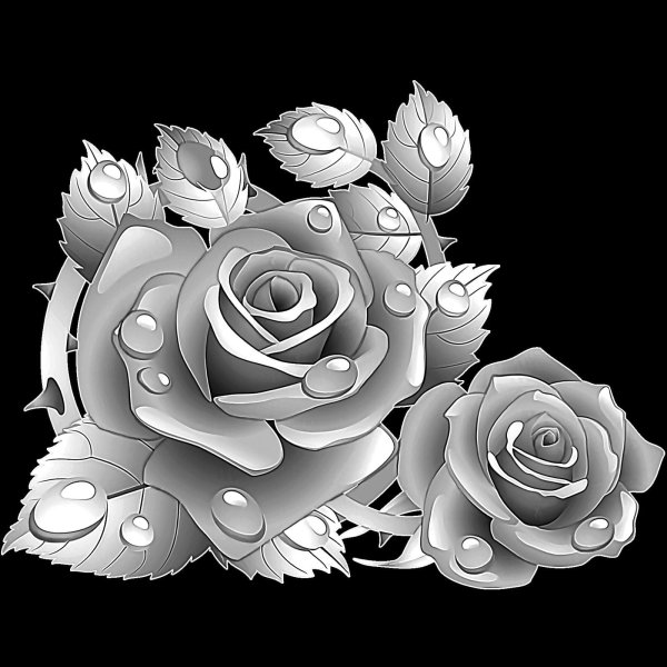 Розы для гравировки на пам