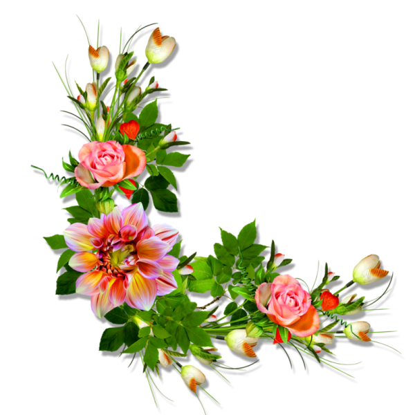 Цветы угловые