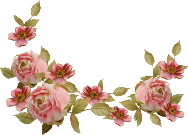 Цветы угловые