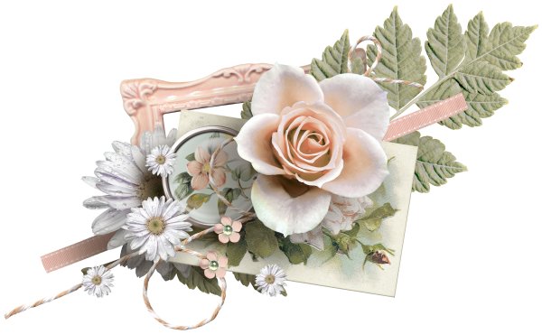 Цветы Скрапбукинг на прозрачном фоне