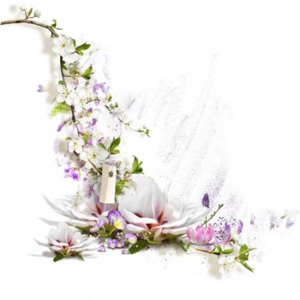 Весенние кластеры на прозрачном фоне