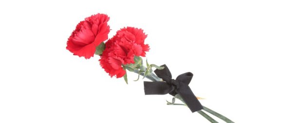 Гвоздики с траурной лентой