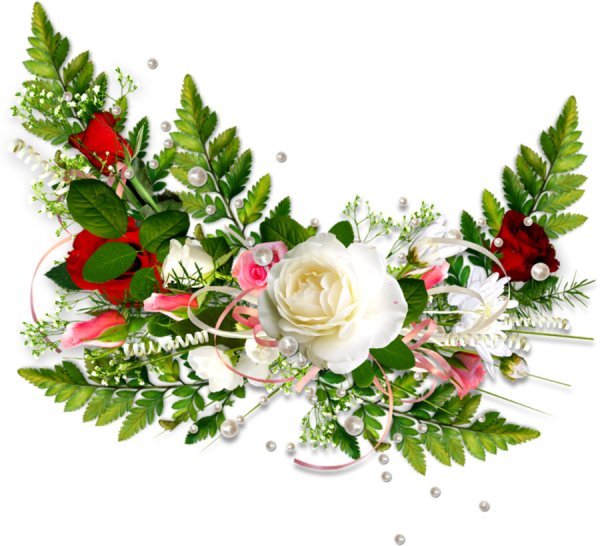 Цветы на прозрачном фоне