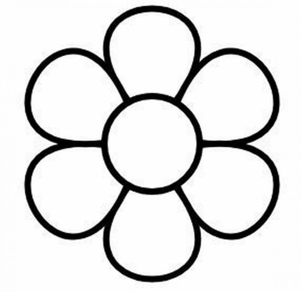 Цветы контур