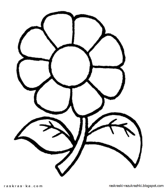 Цветы. Раскраска