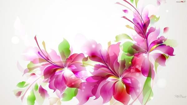 Цветы абстракция