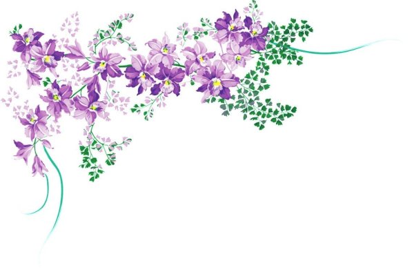 Фон для прайс листа салона красоты