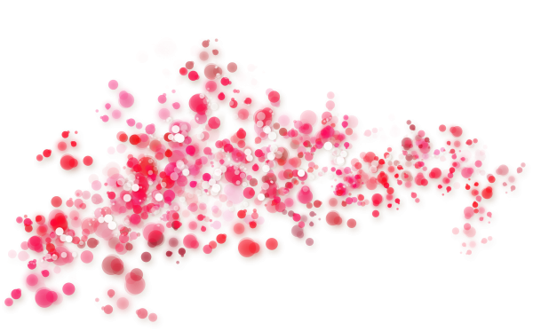 Лепестки цветов