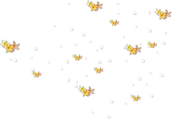 Анимация блестки на прозрачном фоне