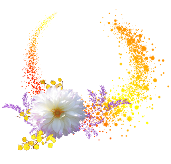 Цветочные эффекты на прозрачном фоне