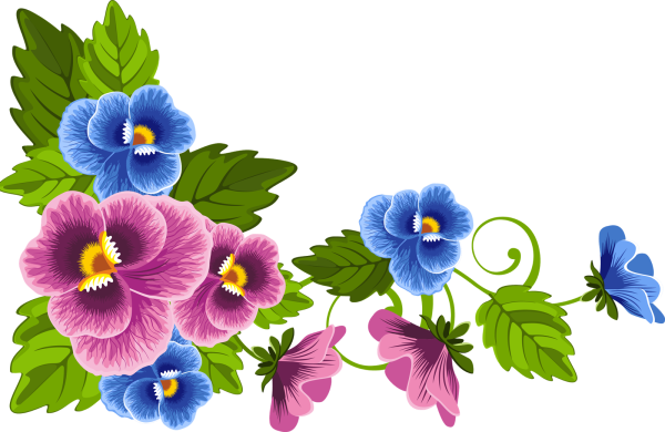 Анютины глазки на прозрачном фоне