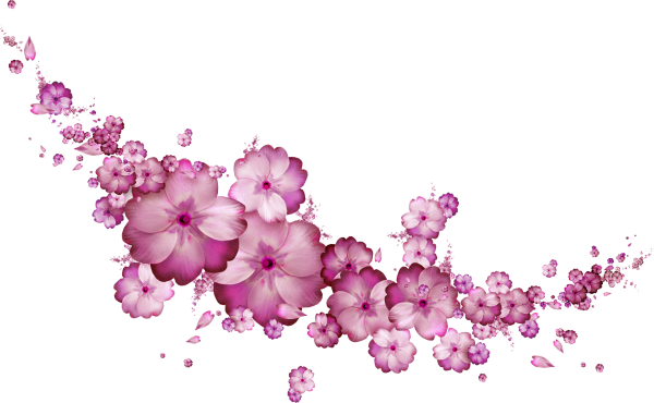 Россыпь цветов на прозрачном фоне