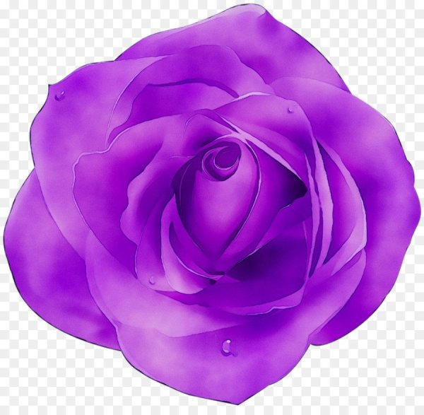 Цветочки для фотошопа