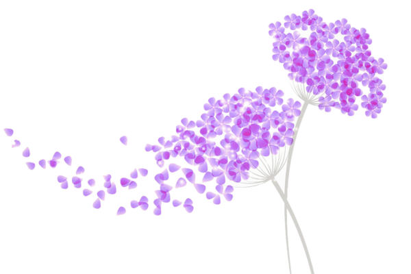 Сирень вектор