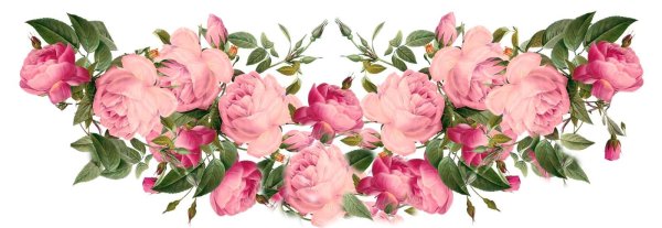 Цветы на белом фоне горизонтальные