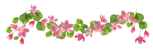 Веточка с цветами на прозрачном фоне