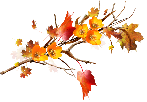 Ветка с осенними листьями