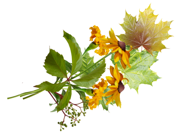 Осенний букет на прозрачном фоне