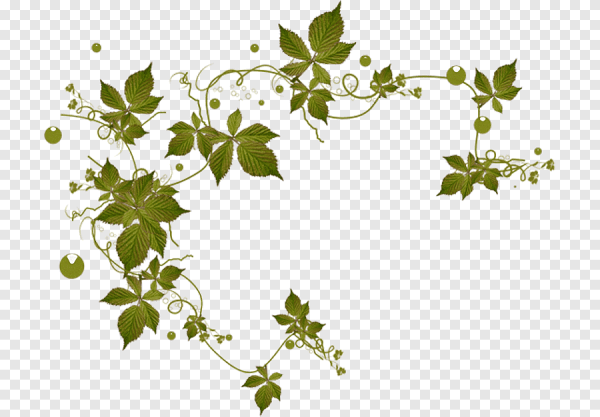 Вьющиеся цветы вектор