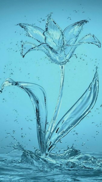 Цветы из капель воды