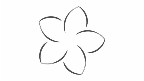 Контур цветка на прозрачном фоне